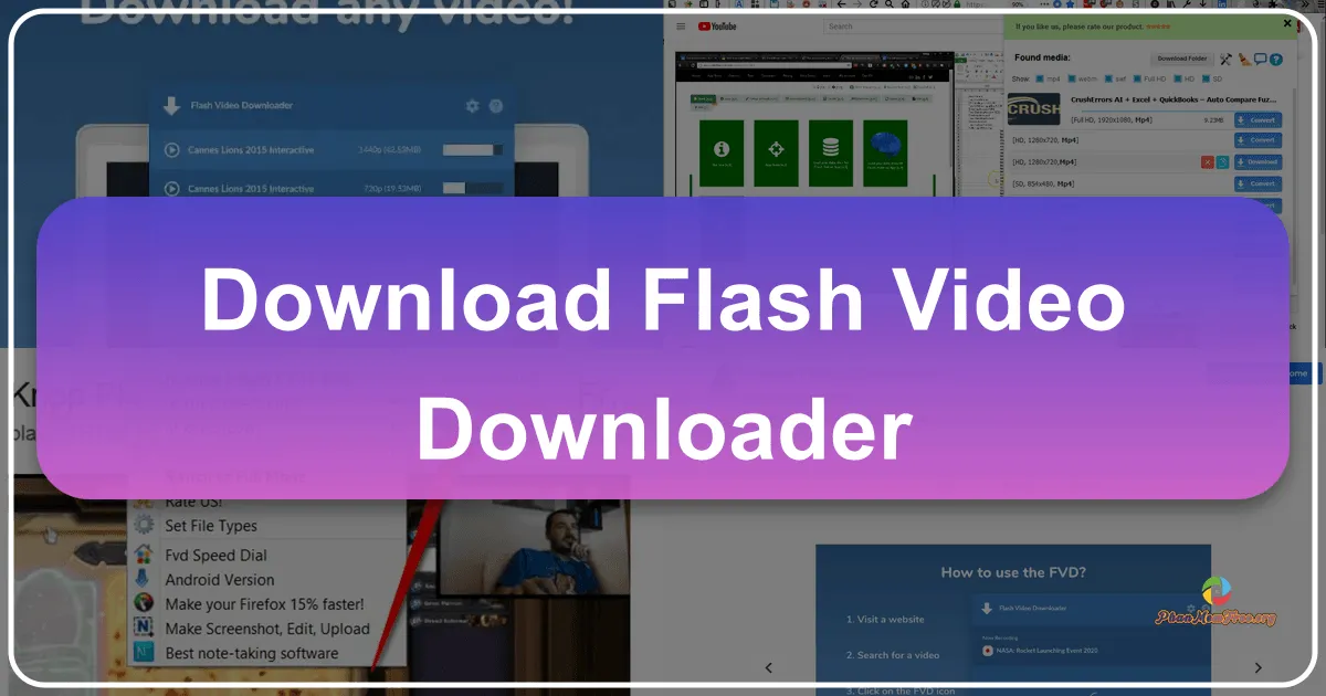 Flash Video Downloader: A Retrospective