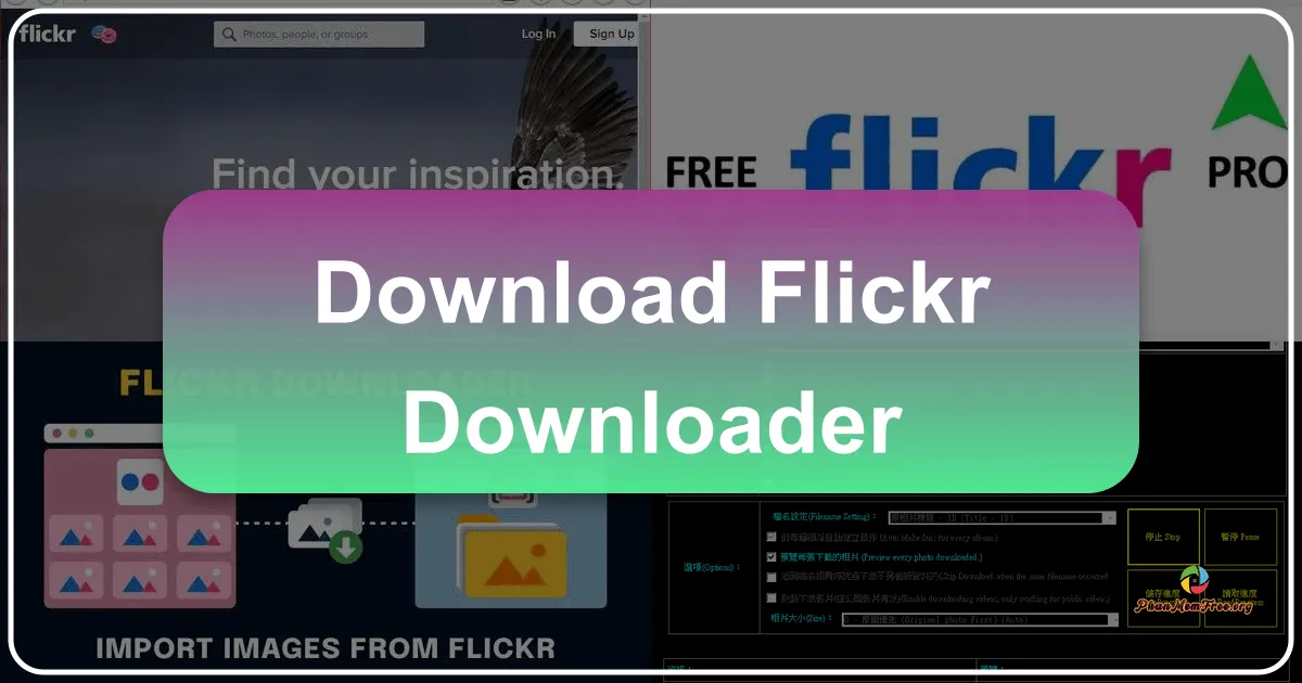 Flickr Downloader: Your Gateway to Effortless Photo Management and Creative Slideshows