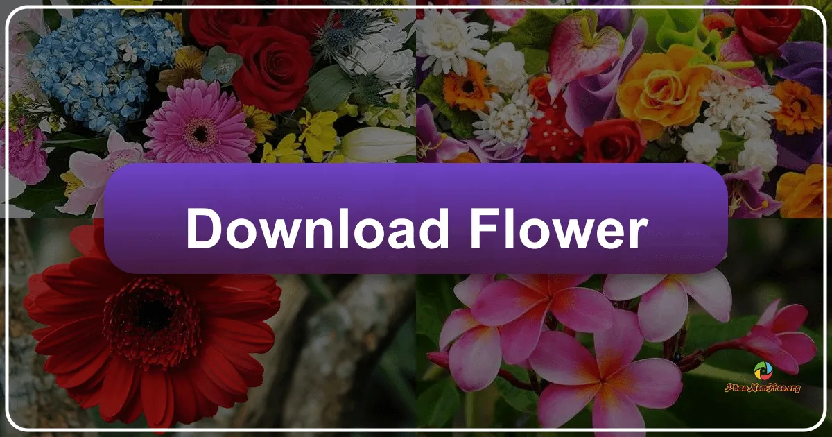 Hoa: Một Chuyến Phiêu Lưu Trong Thế Giới Diệu Kỳ