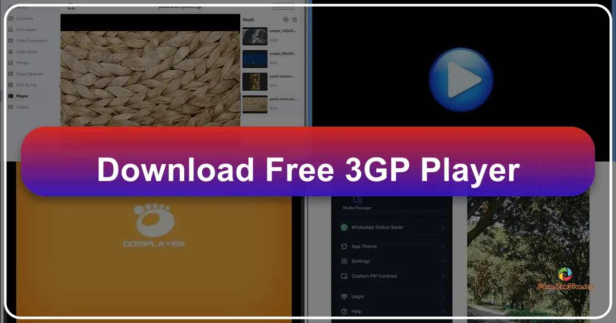Free 3GP Player: Your Essential Tool for Legacy Mobile Video Playback on Windows