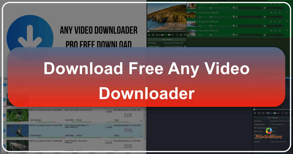 Free Any Video Downloader simplifies video downloads from 200+ websites with ease and efficiency. /images/download-free-any-video-downloader.png