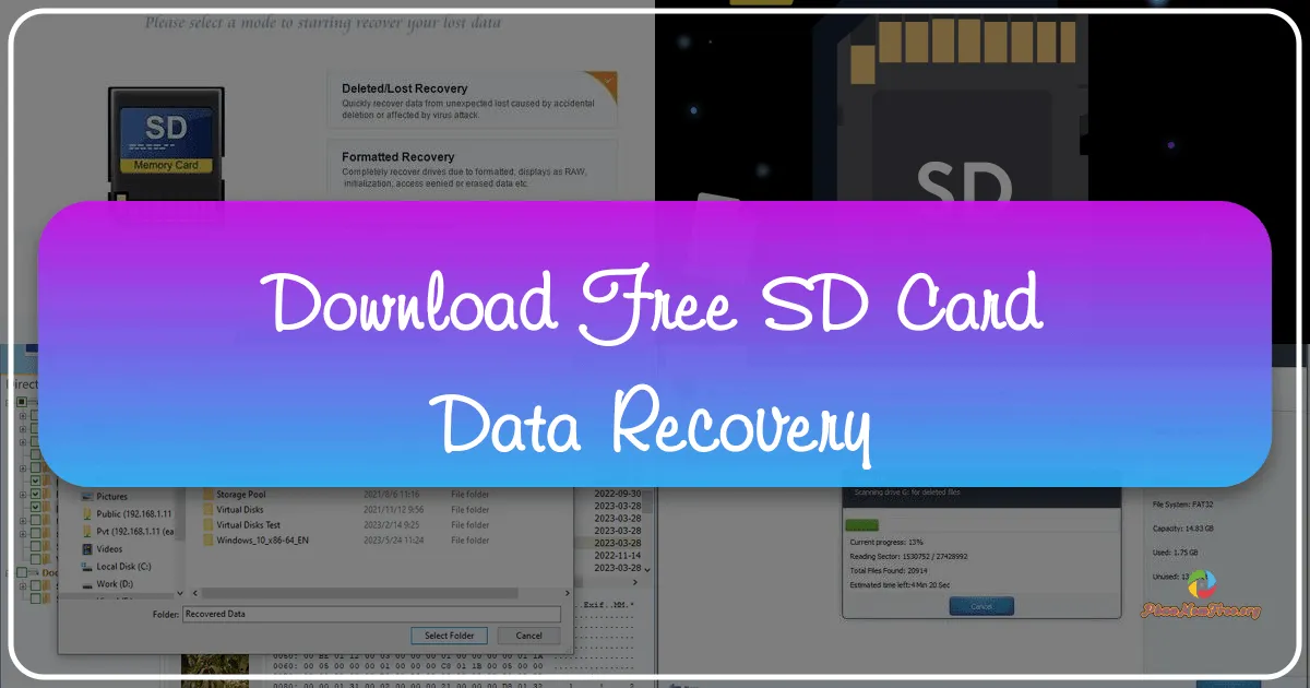 Free SD Card Data Recovery: A Comprehensive Guide