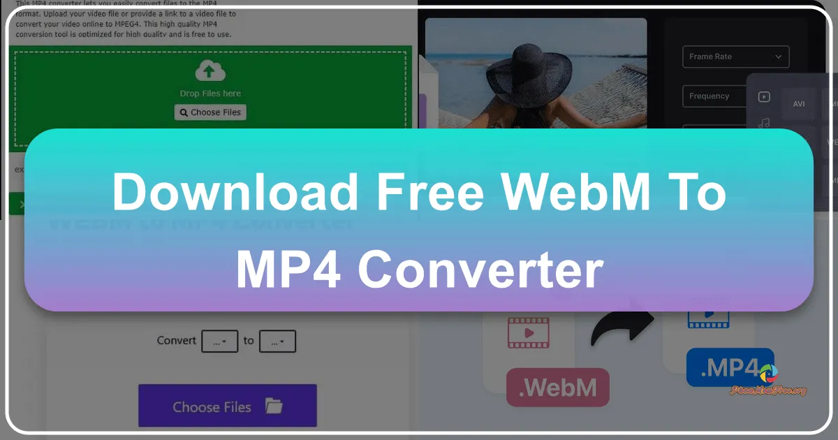 Chuyển Đổi WebM Sang MP4 Miễn Phí: Giải Pháp Toàn Diện Cho Nhu Cầu Của Bạn