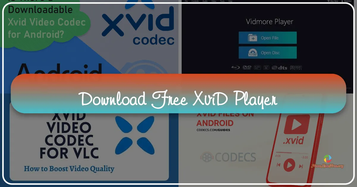 Free Xvid Player: A Deep Dive into a Niche Media Player