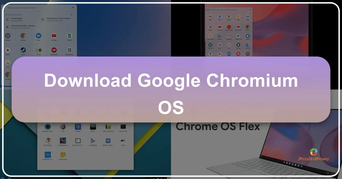 Google Chromium OS