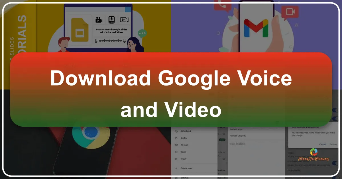 Google Voice and Video
