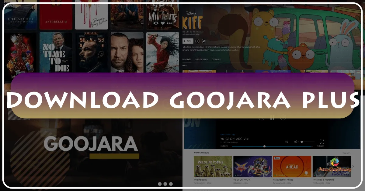 Goojara Plus: A Comprehensive Review