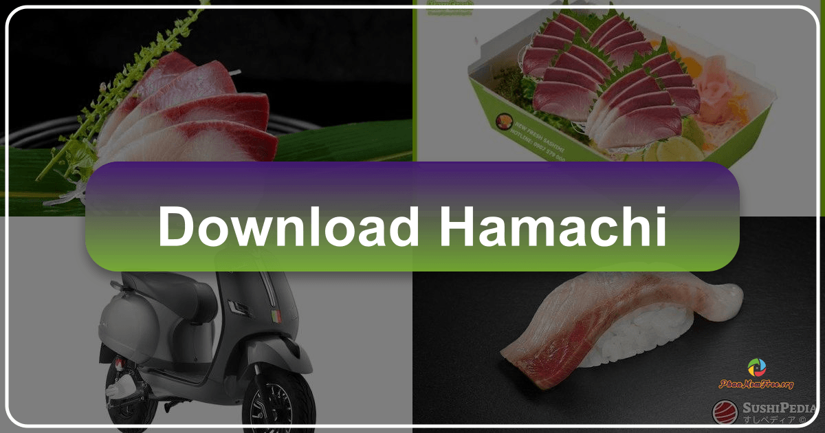 /images/download-hamachi.png