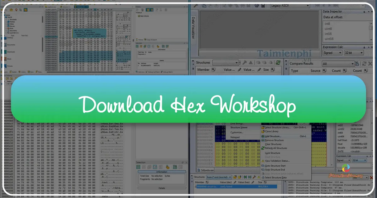 Hex Workshop: A Deep Dive into a Professional Hex Editor