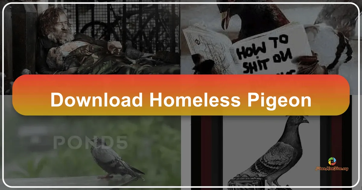 Homeless Pigeon: A Charming, if Limited, Virtual Pet