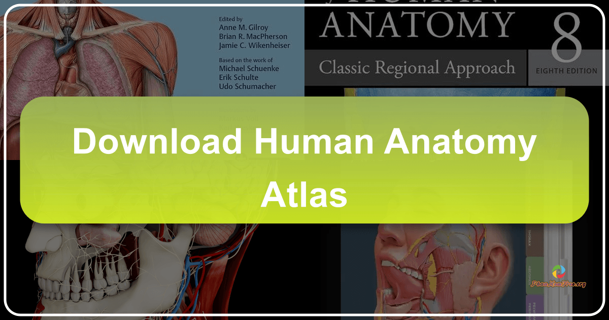 /images/download-human-anatomy-atlas.png /images/download-human-anatomy-atlas.png