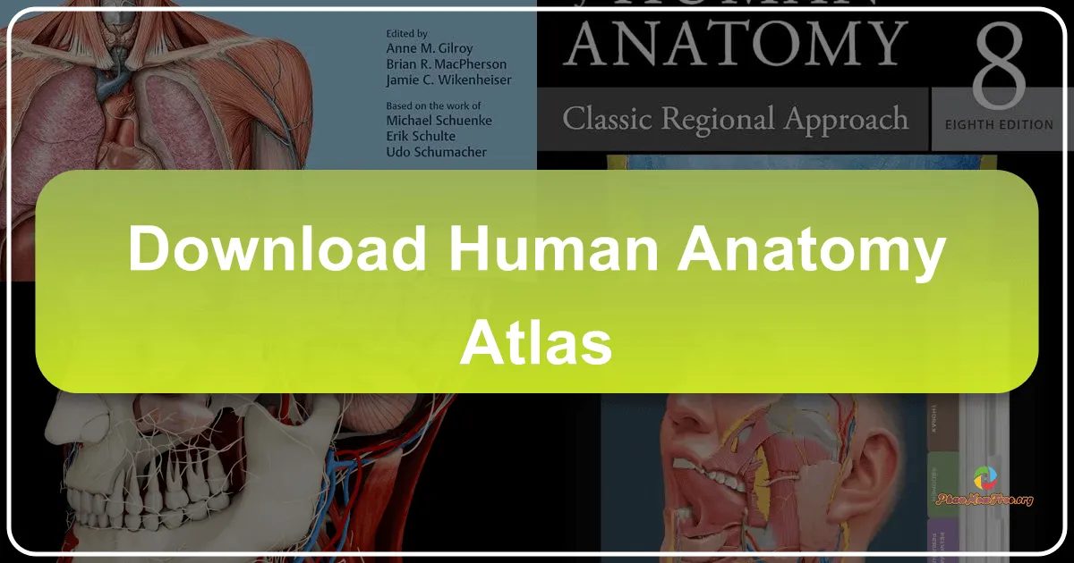 Human Anatomy Atlas 2019: Bản đồ giải phẫu cơ thể người 3D toàn diện