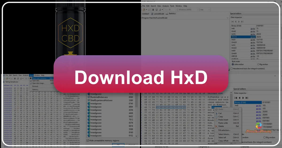 HxD Hex Editor: A Deep Dive into a Powerful Hexadecimal Editor