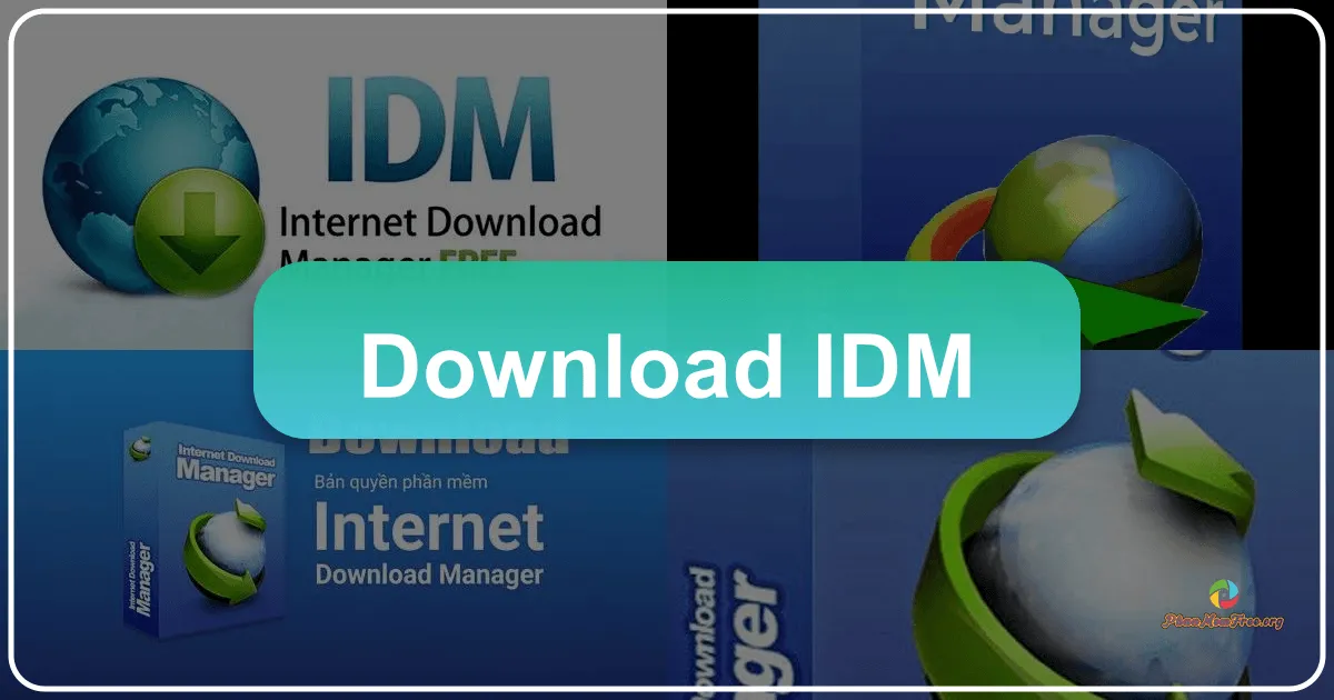 Internet Download Manager (IDM): Trợ thủ đắc lực cho việc tải xuống dữ liệu tốc độ cao