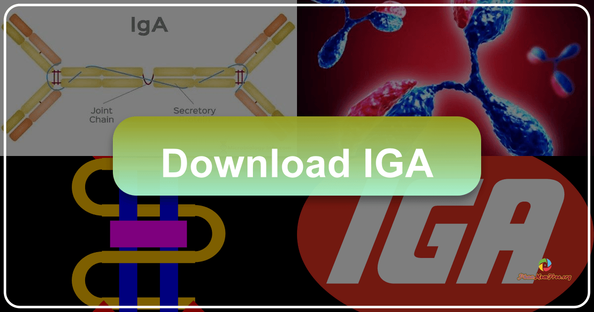 /images/download-iga.png /images/download-iga.png