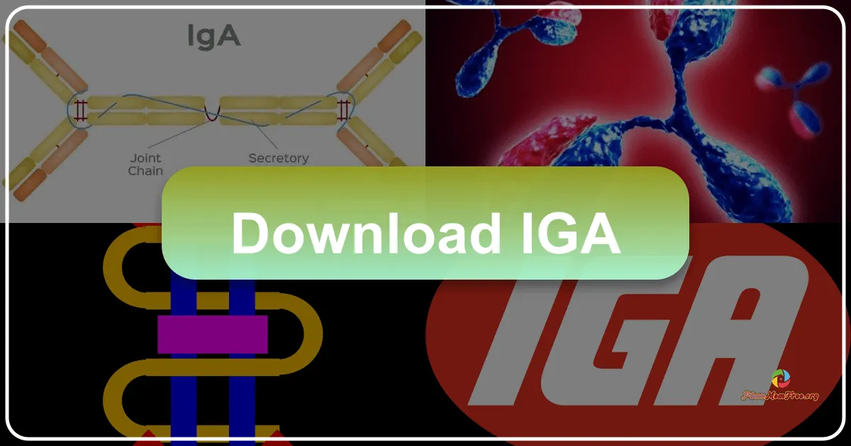 iGà: Trò chơi bắn súng tọa độ hấp dẫn trên nhiều nền tảng