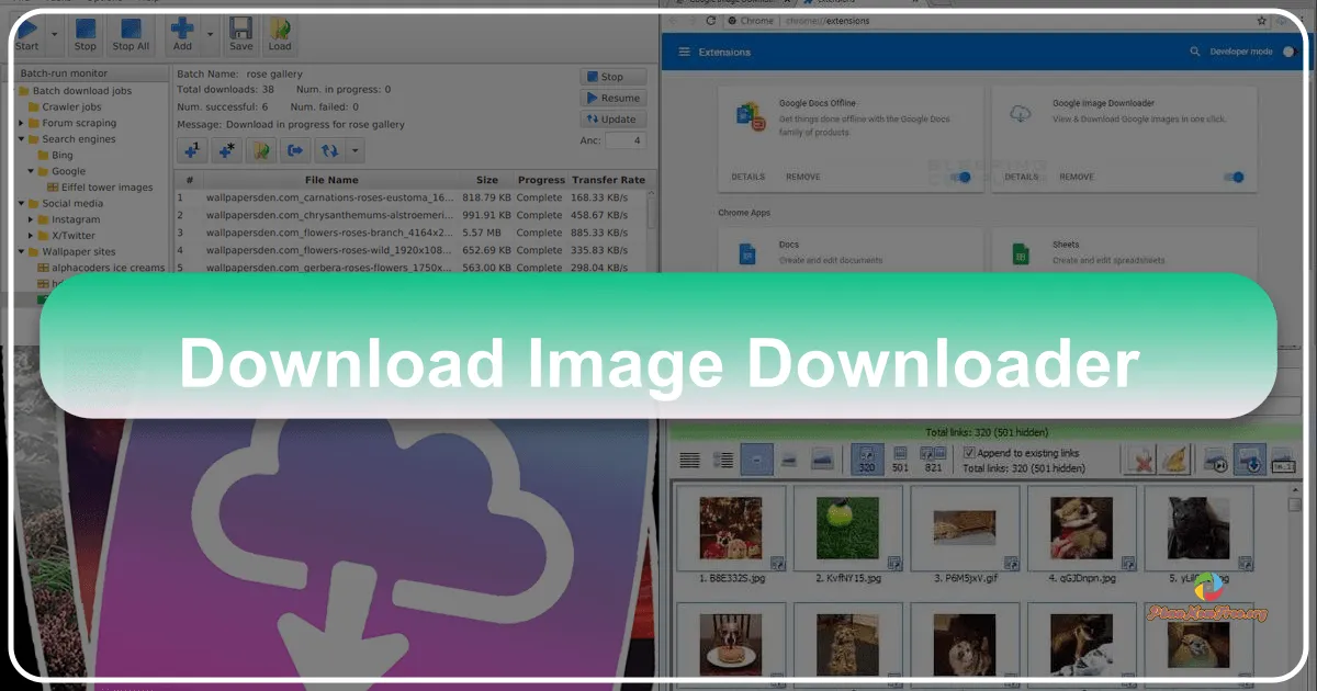 Image Downloader: Trình tải ảnh hàng loạt thông minh