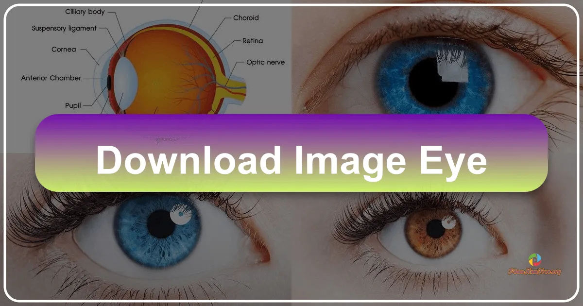 Image Eye: The Uncluttered Vision of Image Viewing