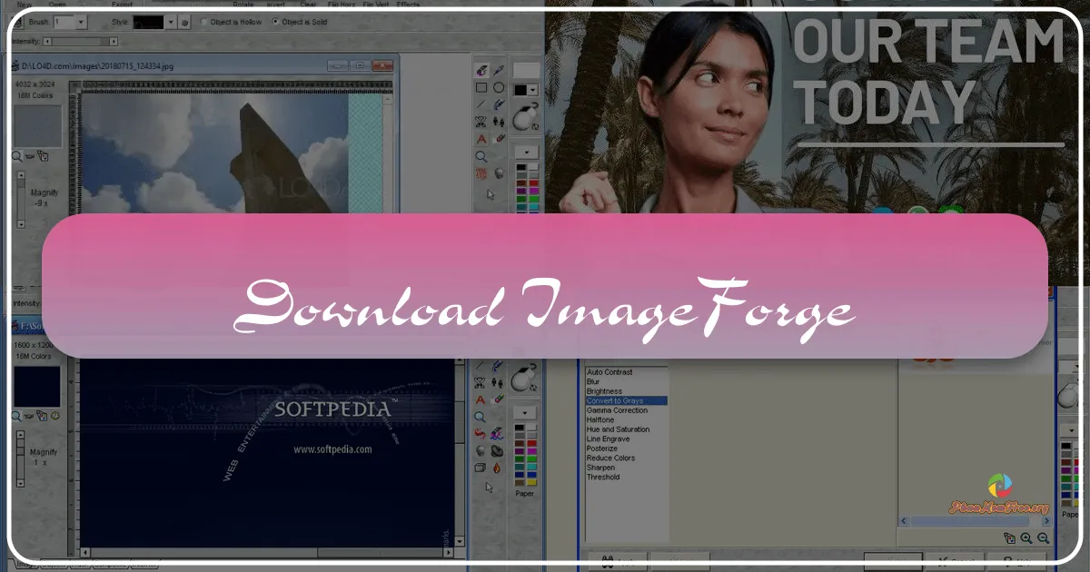 ImageForge: A Retrospective Look at a Legacy Graphics Editor