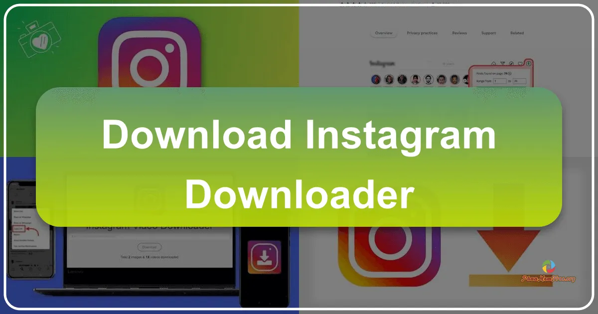 Instagram Downloader: A Deep Dive into Functionality, Alternatives, and Limitations