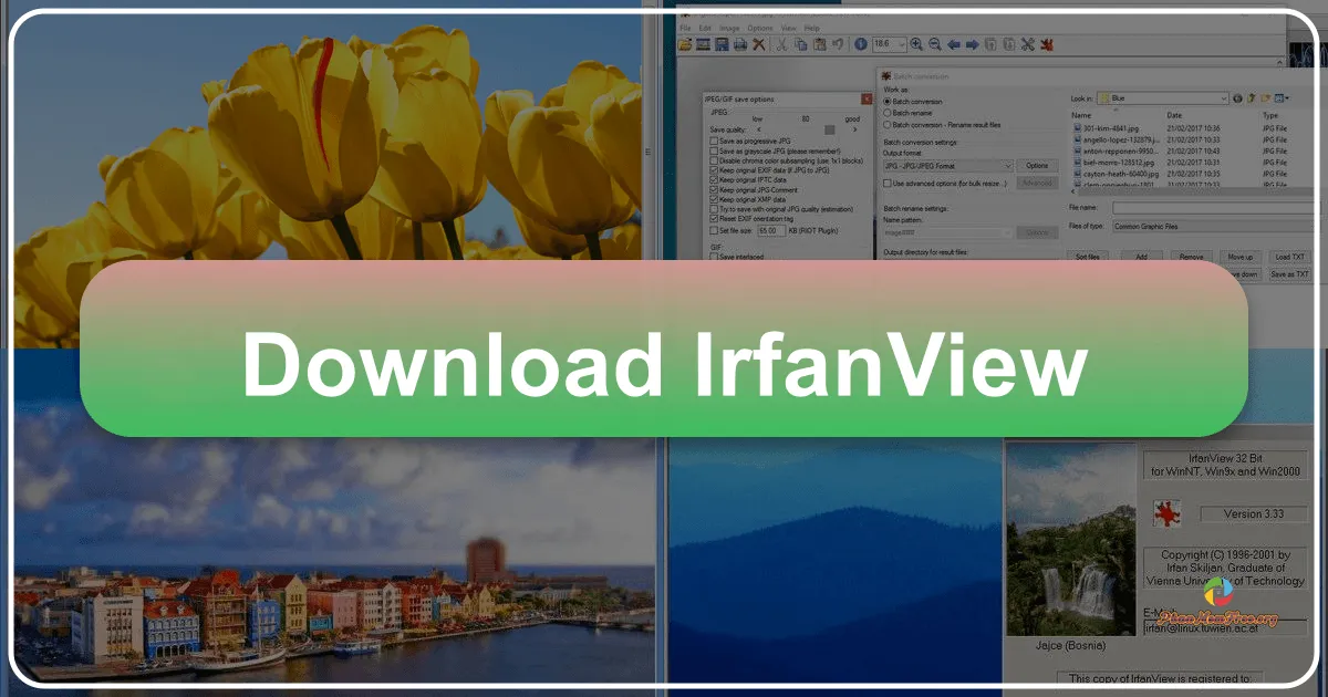IrfanView: Phần Mềm Xem và Chỉnh Sửa Ảnh Miễn Phí, Mạnh Mẽ Dành Cho Mọi Người