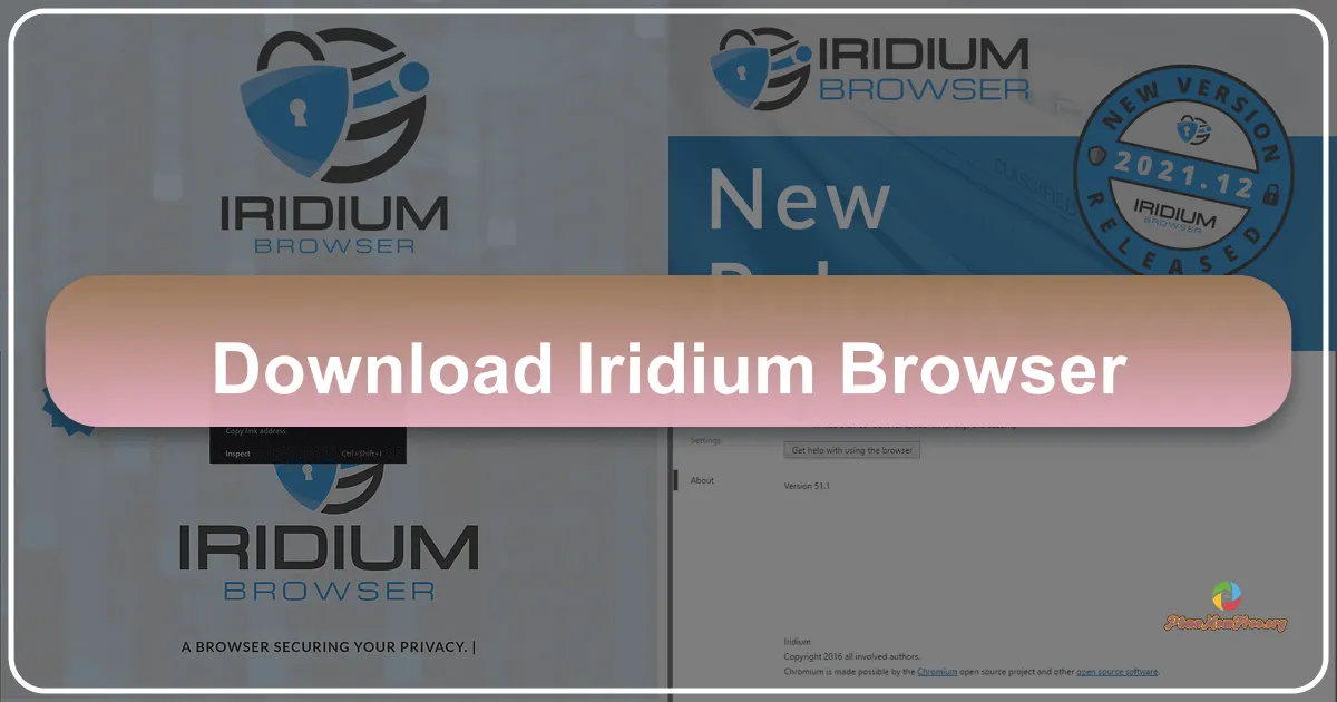 Iridium Browser: A Comprehensive Review