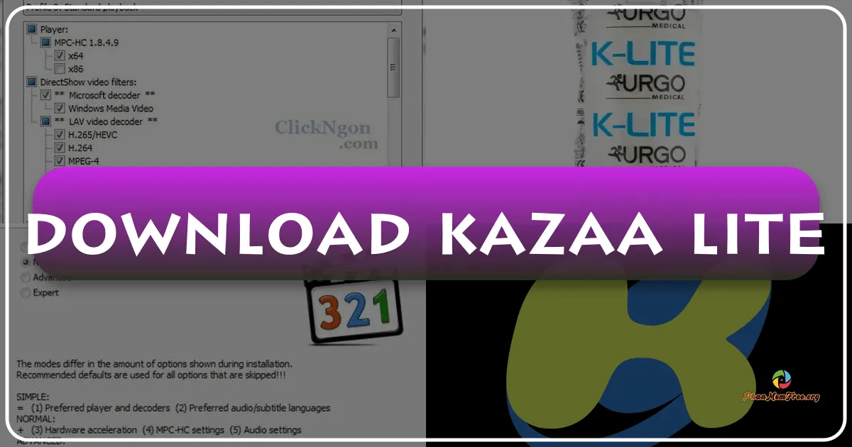 Kazaa Lite: A Retrospective on a Classic Peer-to-Peer File-Sharing Program