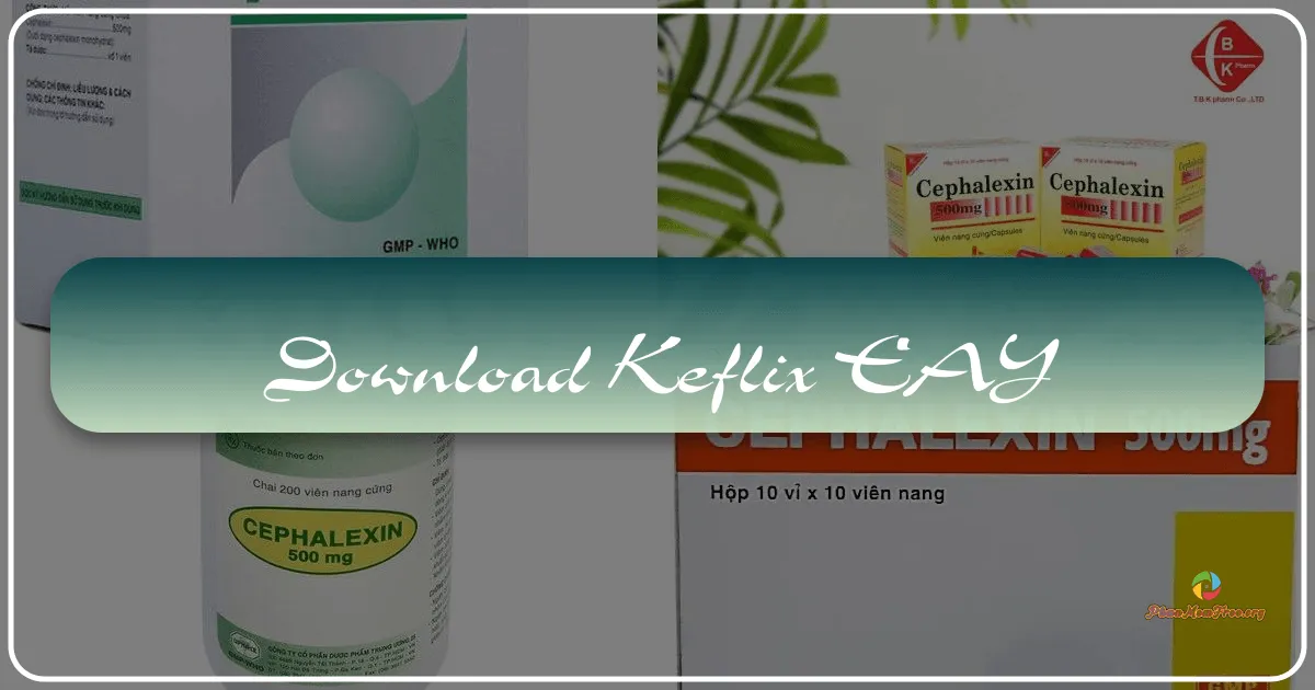 Keflix: Your Ultimate Entertainment Hub