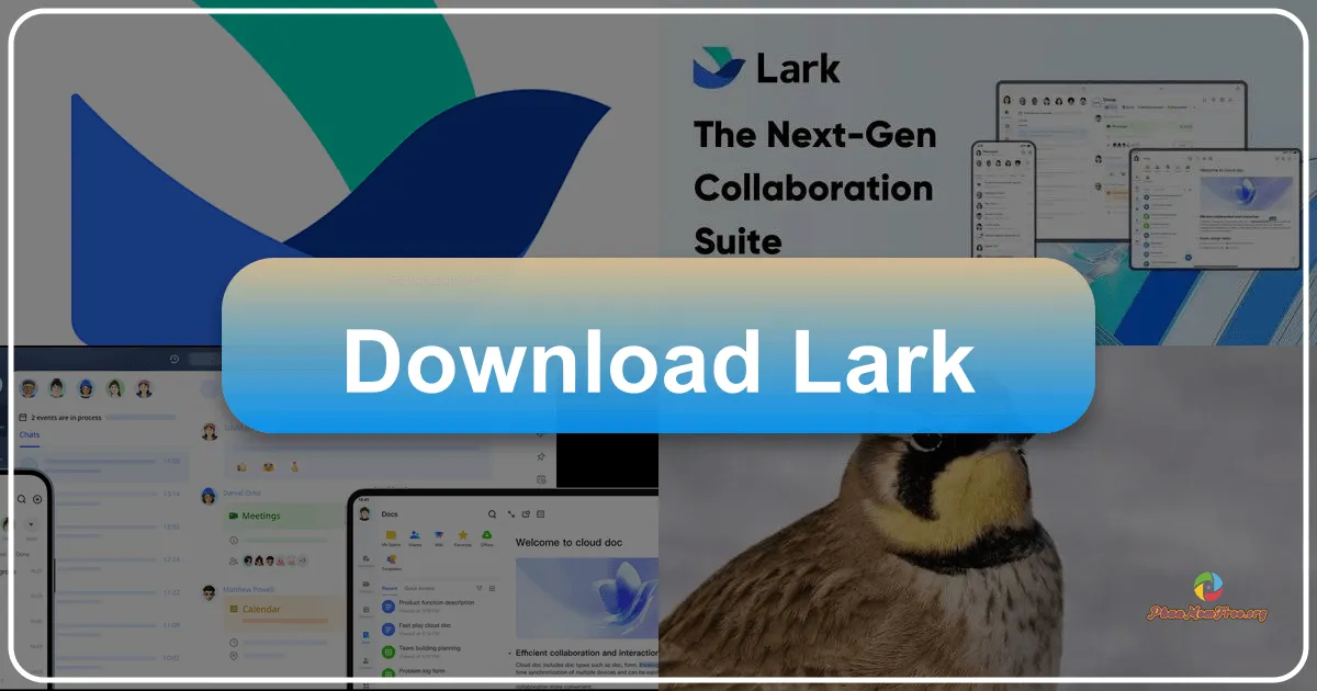 Lark: A Comprehensive Team Collaboration Tool