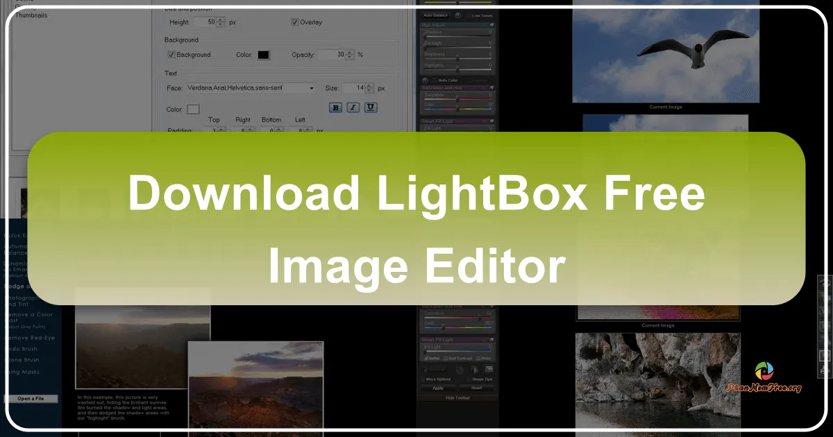 LightBox Free Image Editor: Professional-Feeling Photo Optimization for Everyone