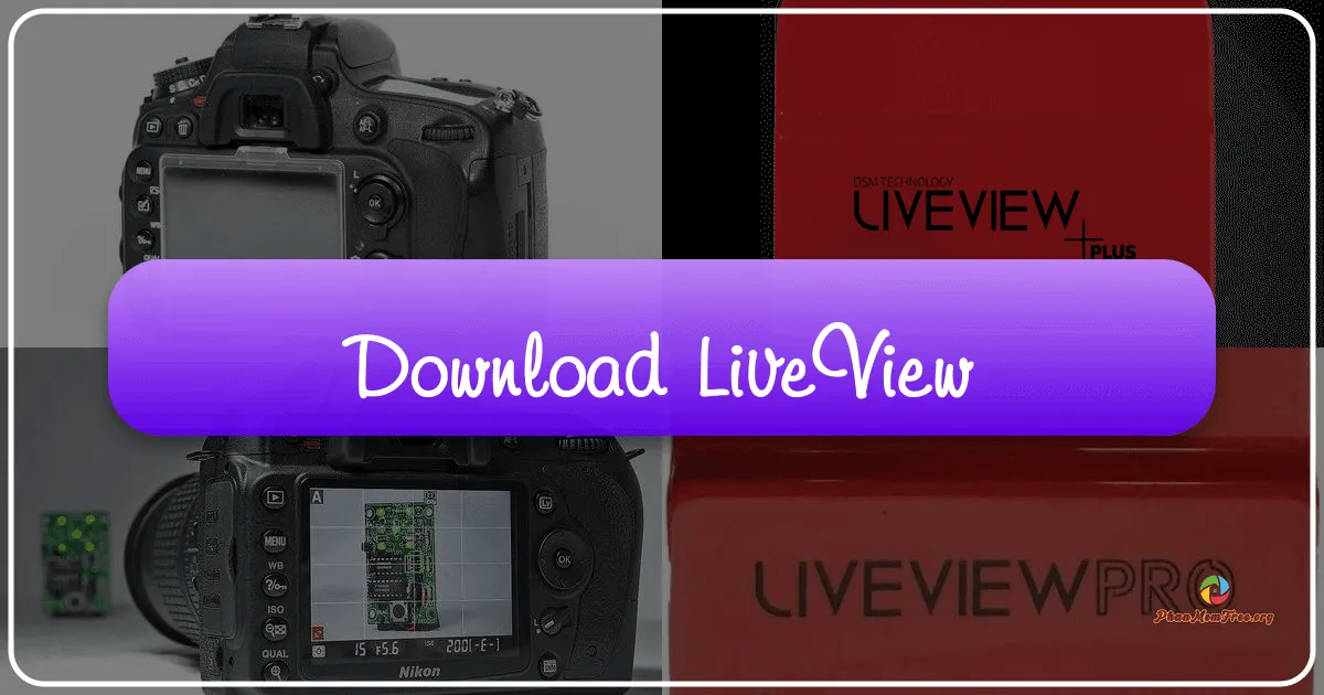 LiveVIEW: A Glimpse into the Global Webcam Network