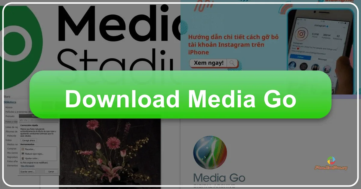 MediaGo: A Retrospective on Sony's Versatile Media Management Suite