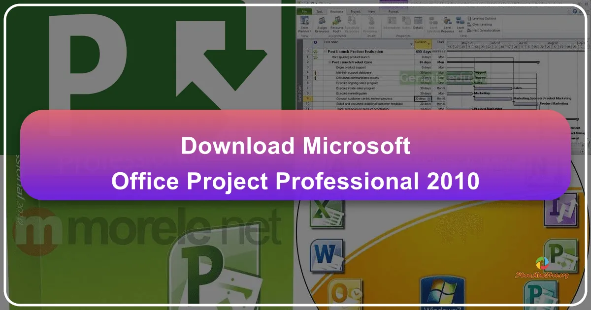 Microsoft Office Project Professional 2010: Công cụ Quản lý Dự án Toàn Diện