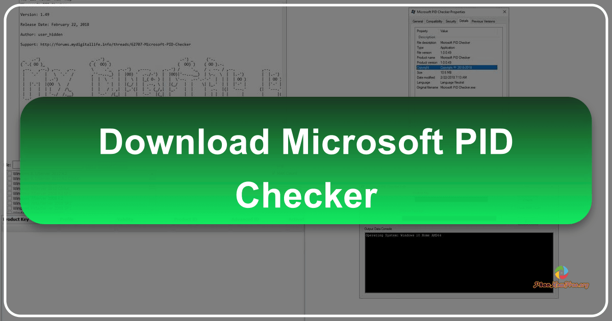 Microsoft PID Checker: A tool for validating Microsoft product keys efficiently and effectively for various software packages. /images/download-microsoft-pid-checker.png