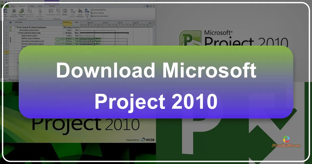 Microsoft Project 2010: A Comprehensive Guide to Project Management Software