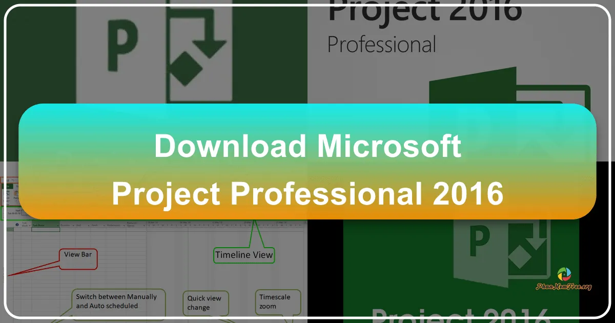 Microsoft Project Professional 2016: A Comprehensive Review