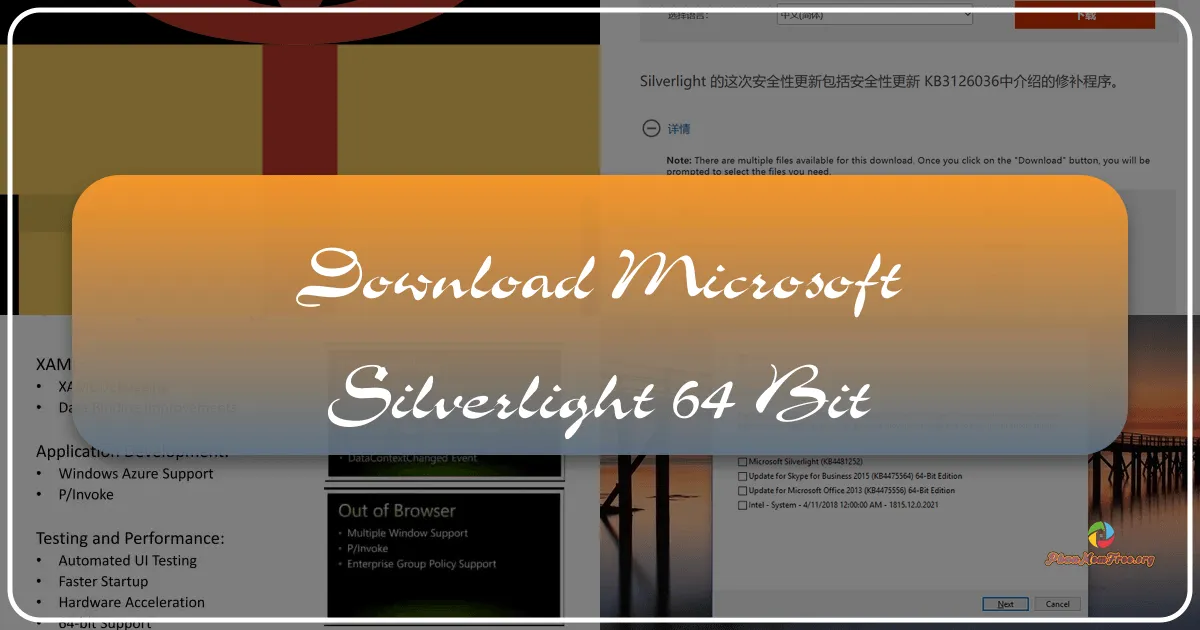 Microsoft Silverlight (64-bit): A Retrospective on a Multimedia Plugin