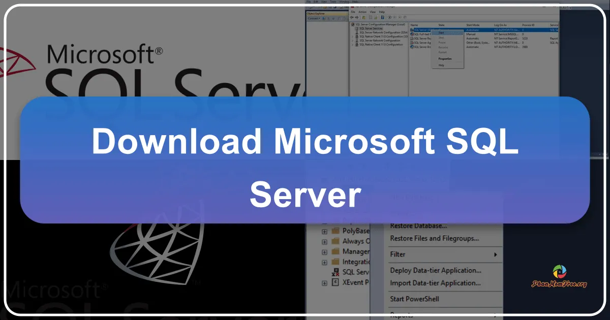 Microsoft SQL Server: Nền tảng Quản trị Cơ sở dữ liệu Toàn diện