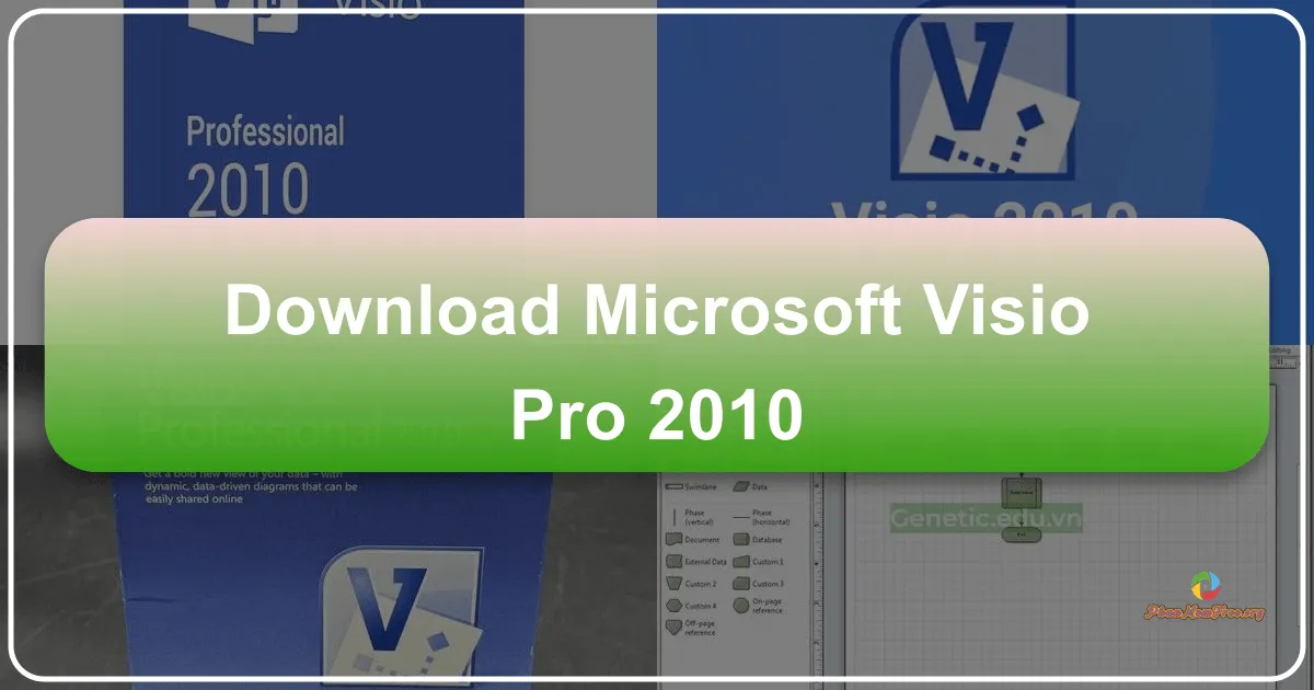 Microsoft Visio Pro 2010: A Comprehensive Guide