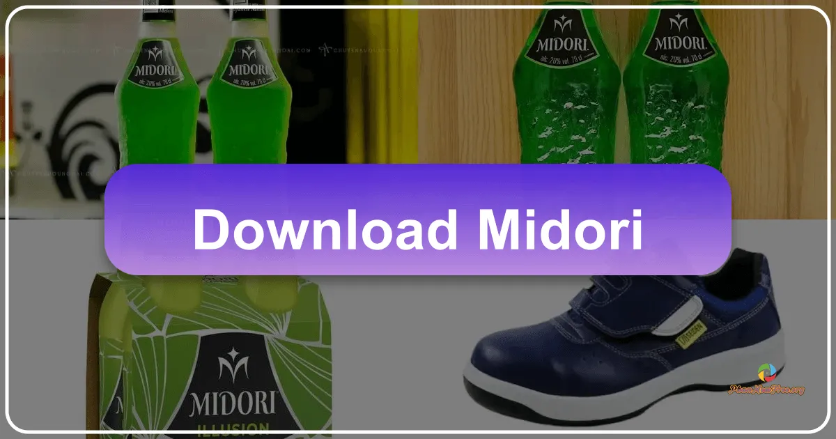 Midori: A Lightweight Web Browser Review