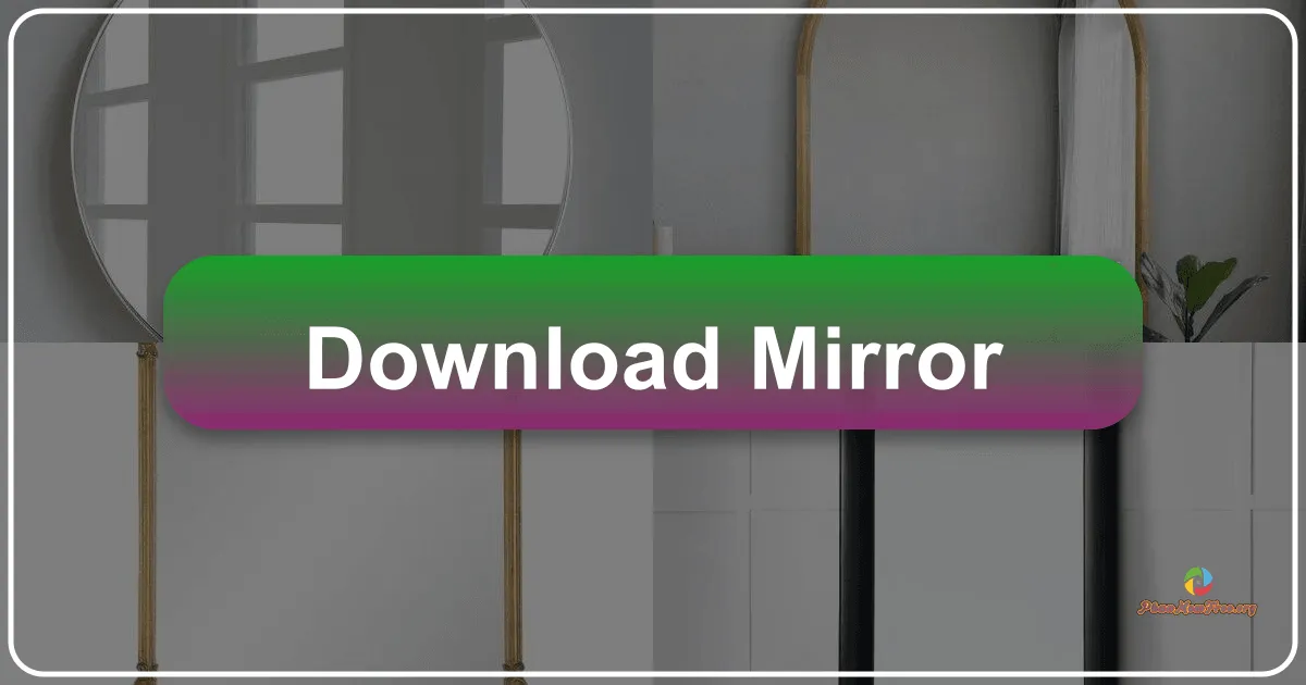 Mirror: A Comprehensive Review