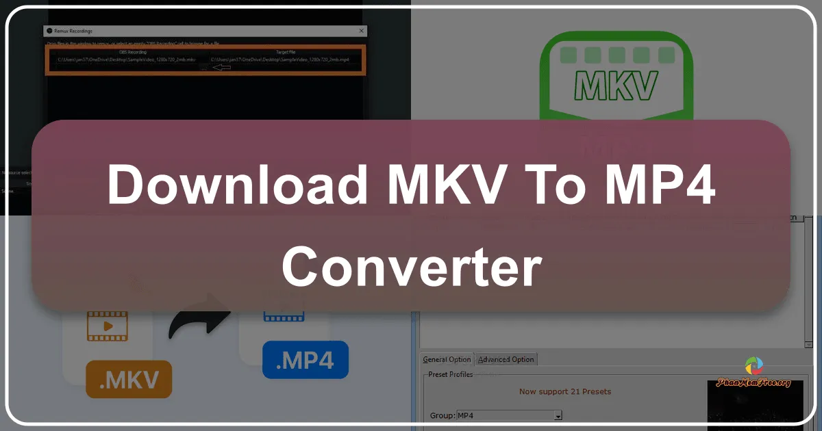 MKV to MP4 Converter: A Comprehensive Review