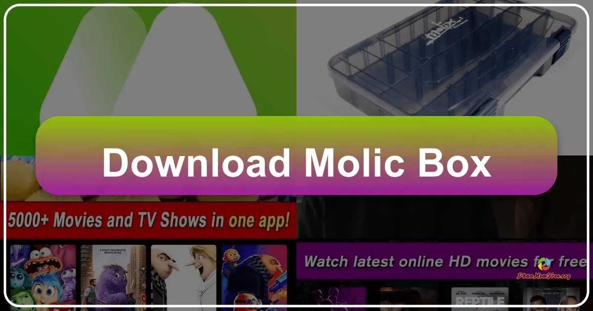 Molic Box: Your Ultimate Entertainment Companion