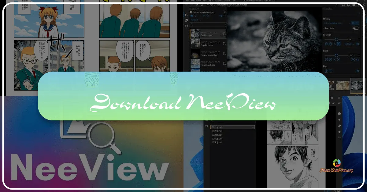 NeeView: A Comprehensive Review of a Dual-Image Viewer and More