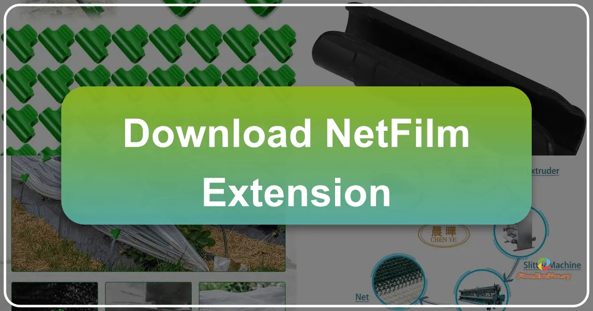 Netfilm Extension: A Chrome Extension for Streamlined Viewing