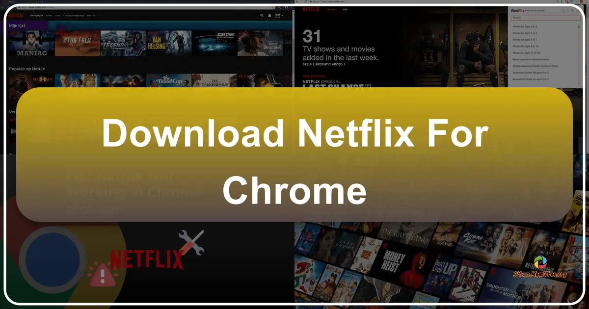 Netflix for Chrome: A Comprehensive Review and Analysis