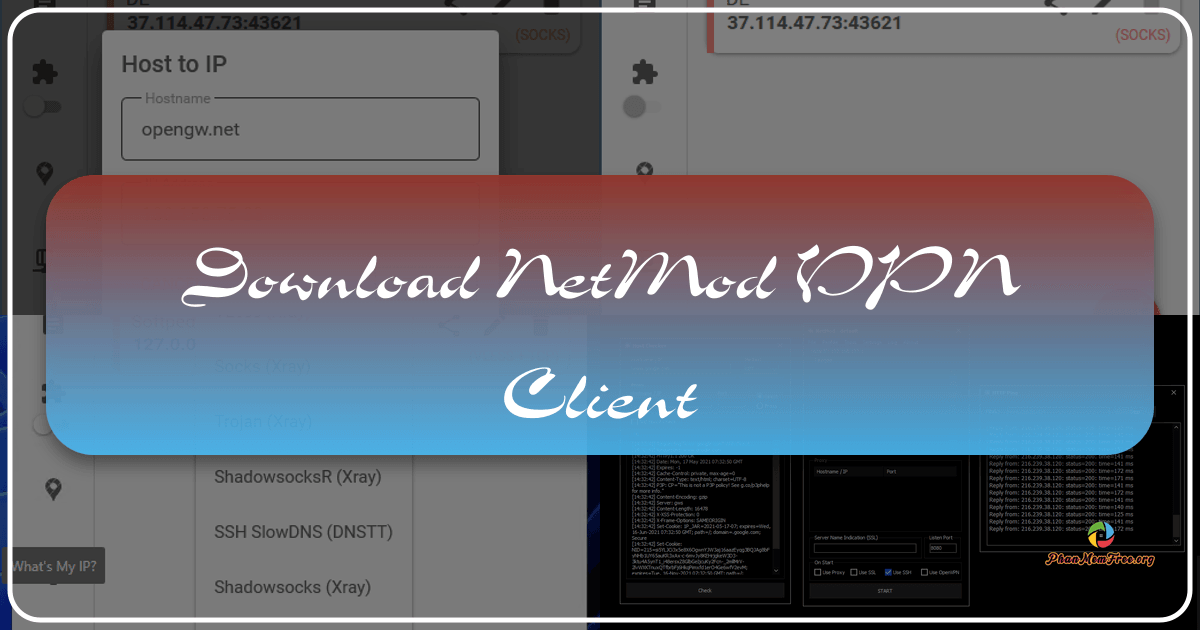 /images/download-netmod-vpn-client.png