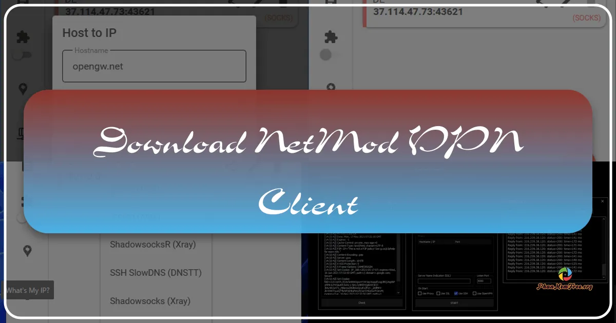 NetMod VPN Client: A Comprehensive Guide to Secure and Customizable Online Privacy