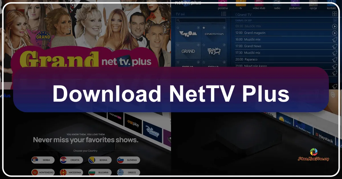 NetTV Plus: Streaming Your Favorite Online Videos to Your TV