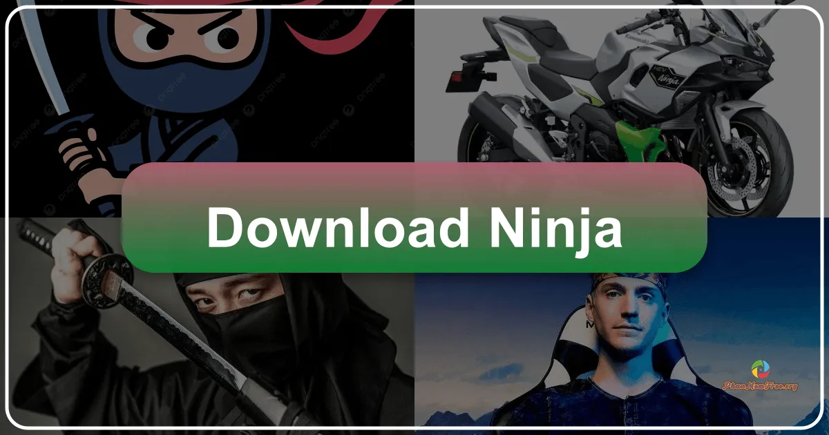 Ninja: Your One-Click Gateway to Incognito Browsing
